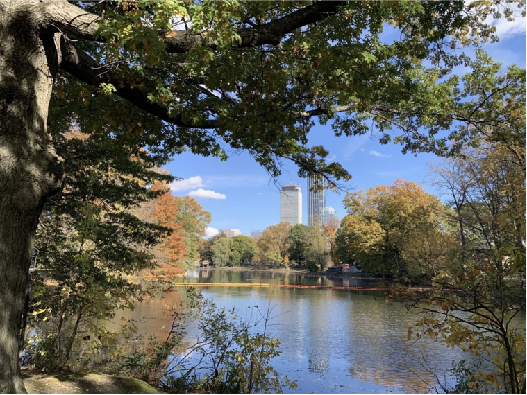 Boston in fall. Will anyone visit? Photo: Sebastian Grace