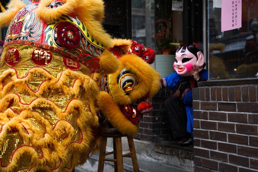 A hungry lion takes the cabbage and oranges from the stool. Ceremoniously, restauranteurs and shopkeepers leave offerings on their front stoops during the lion dance parade. Photo: Sophia Paffenroth