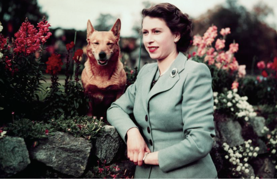 HRH The Queen with one of her many beloved corgis.  CC: Diario El País