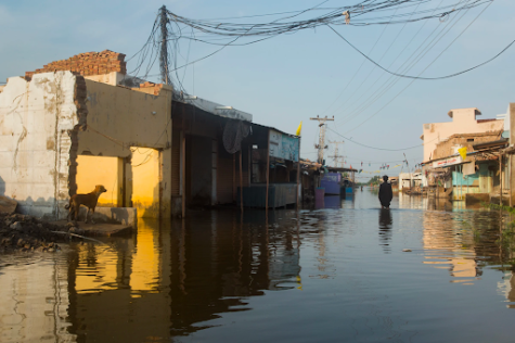 A flooded market in Pakistan’s Sindh Province by Hassaan Gondal for TIME 	
