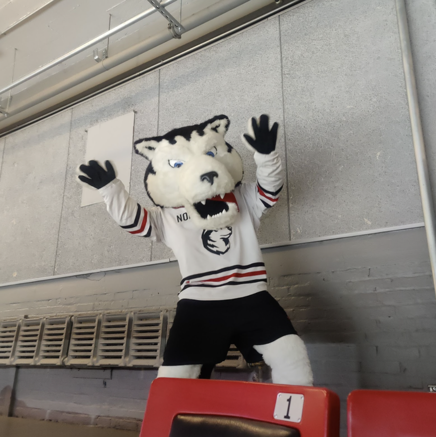Northeasterns+mascot+Paws+excited+to+see+fans+back+at+Matthews+Arena%2C+Boston.%0A