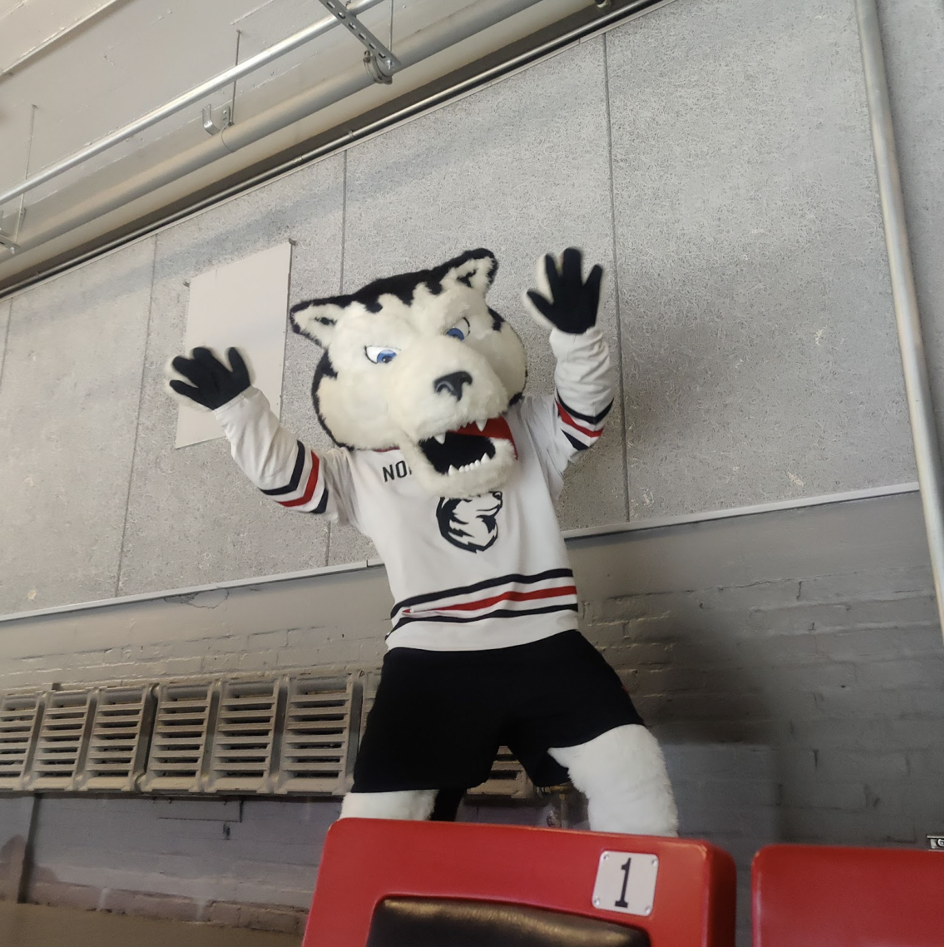 Taking Paws : College Hockey News