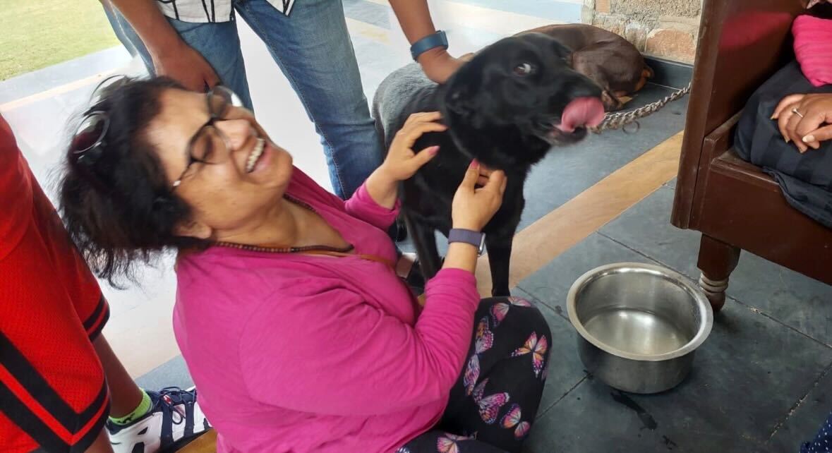 Purrfect Henna : Animal Rescue Through Art